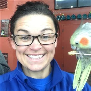 online school teacher casey